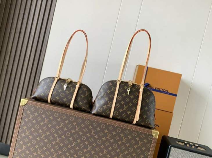 Picture of Louis Vuitton Handbags _SKUfw230463881fw